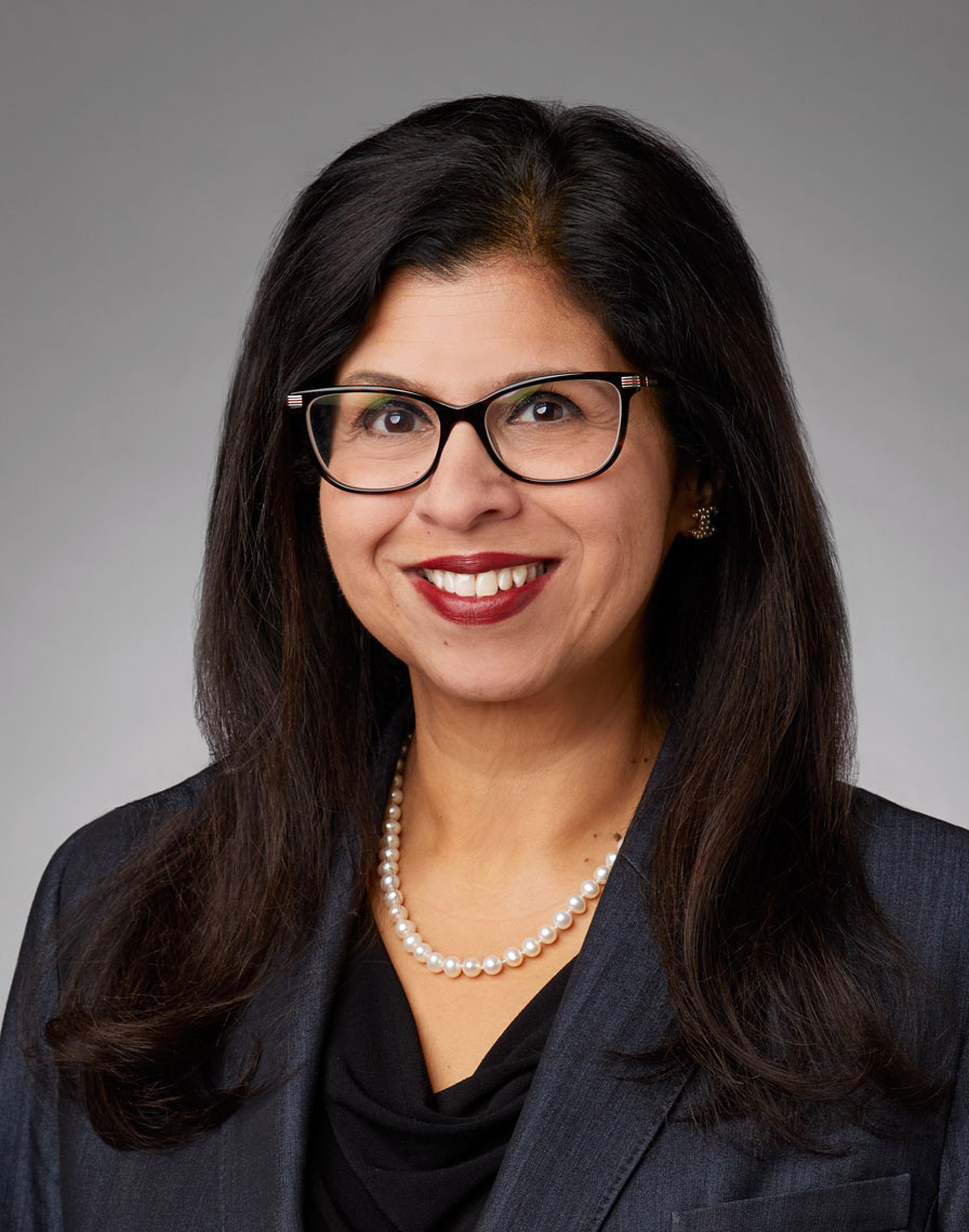 veena