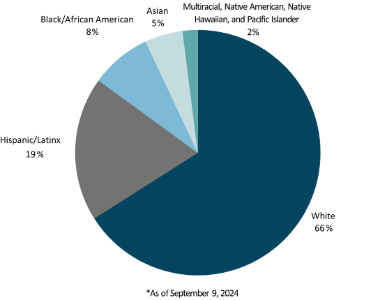 Diversity Chart
